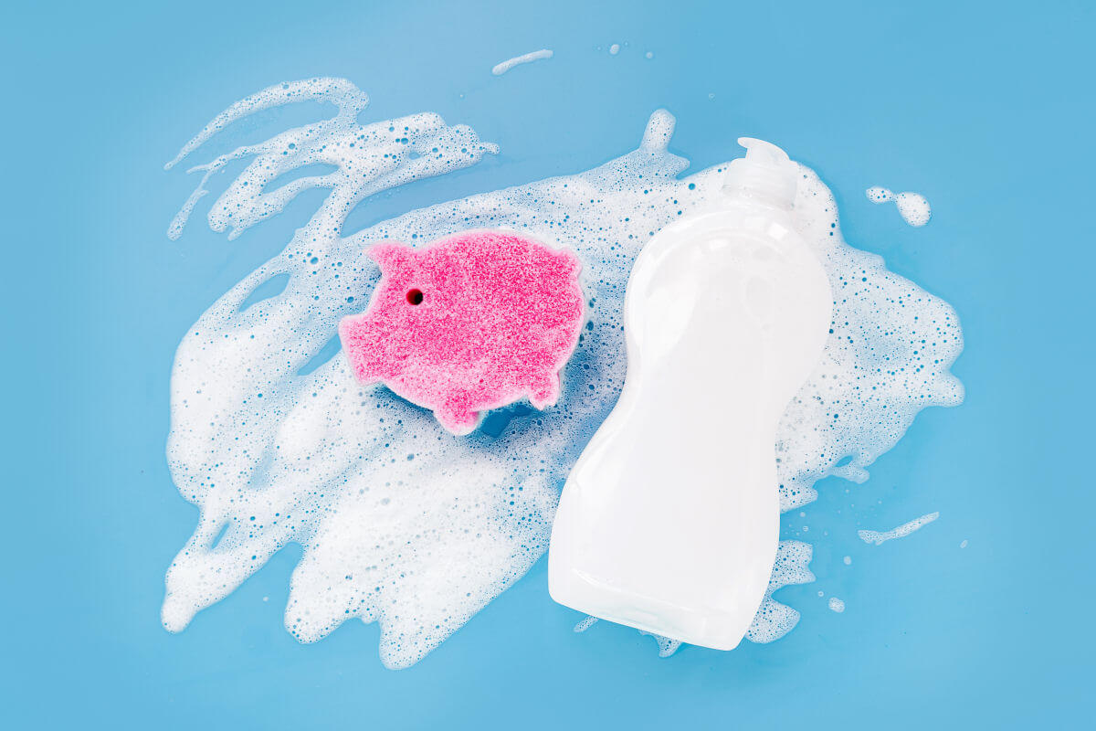 Mit diesen fünf Kriterien wirst du den passenden Toycleaner finden