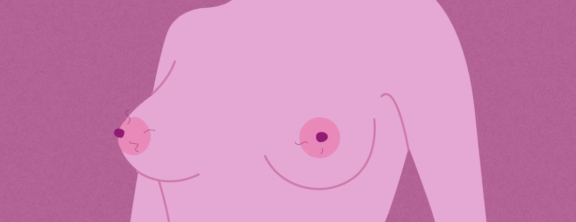 Die Stacheligen Haarige Blütenknospen