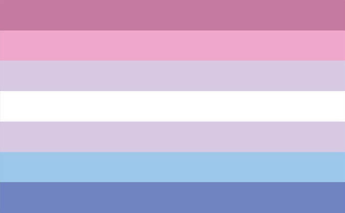 Bigender Flagge Original