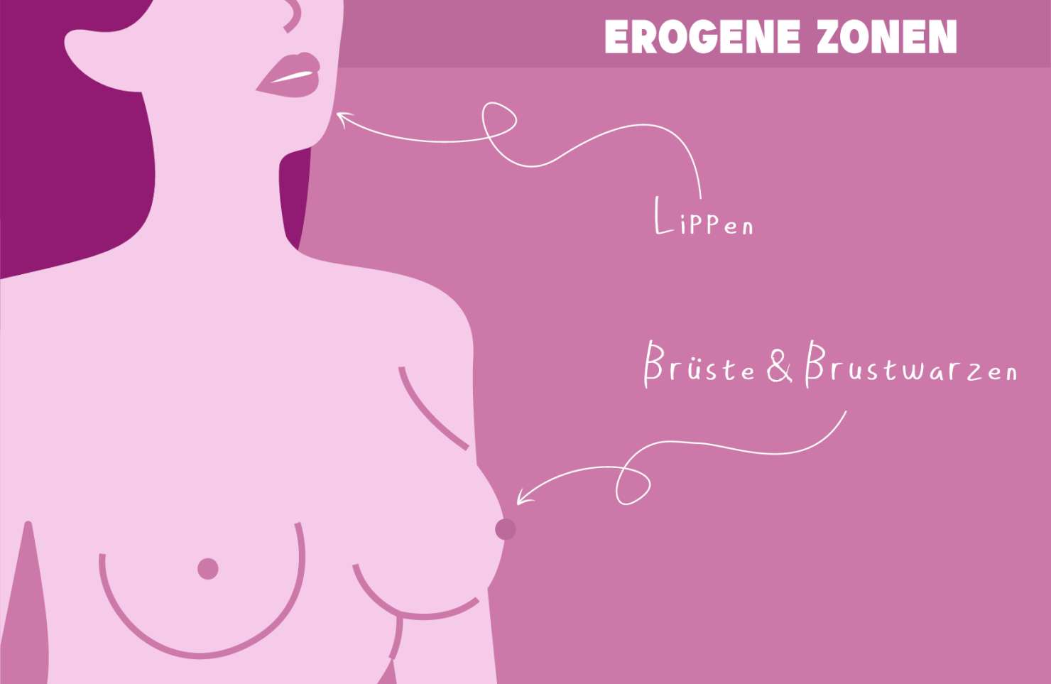 Weitere-erogene-Zonen-von-Frauen-Brueste-und-Brustwarzen-Lippen