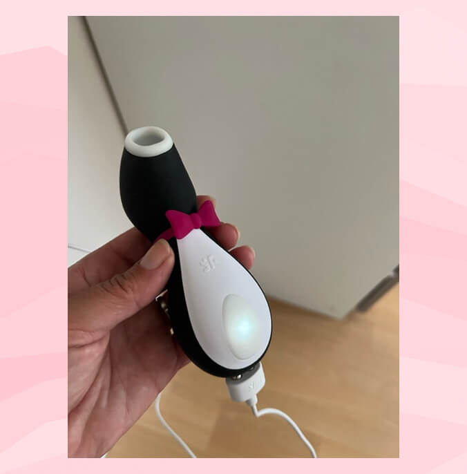 So-wird-der-Penguin-Pro-von-Satisfyer-aufgeladen