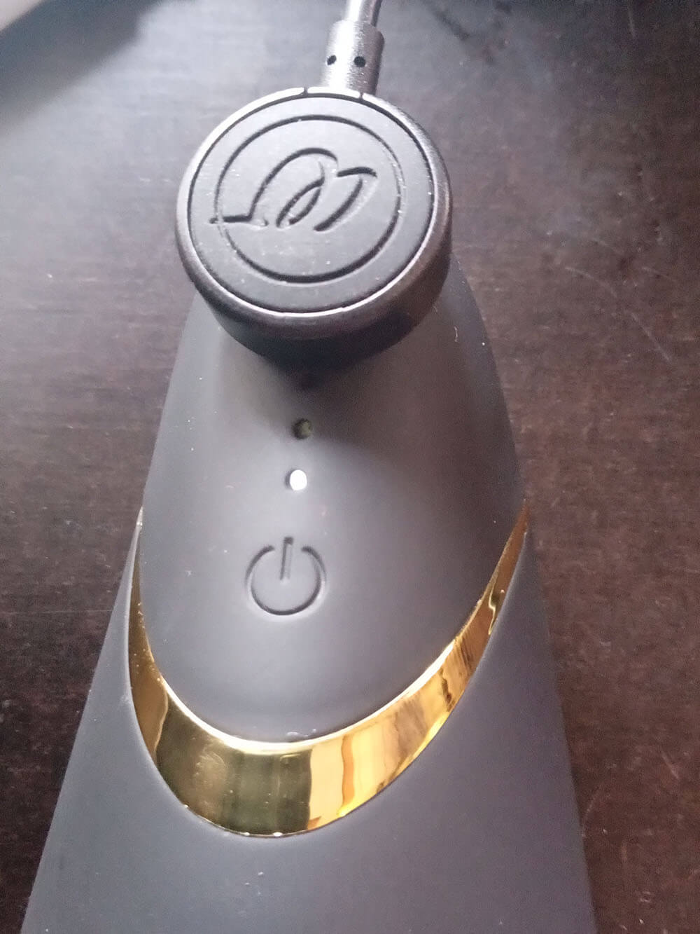 Aufladen-des-Womanizer-Premium-2-mit-Magentpins