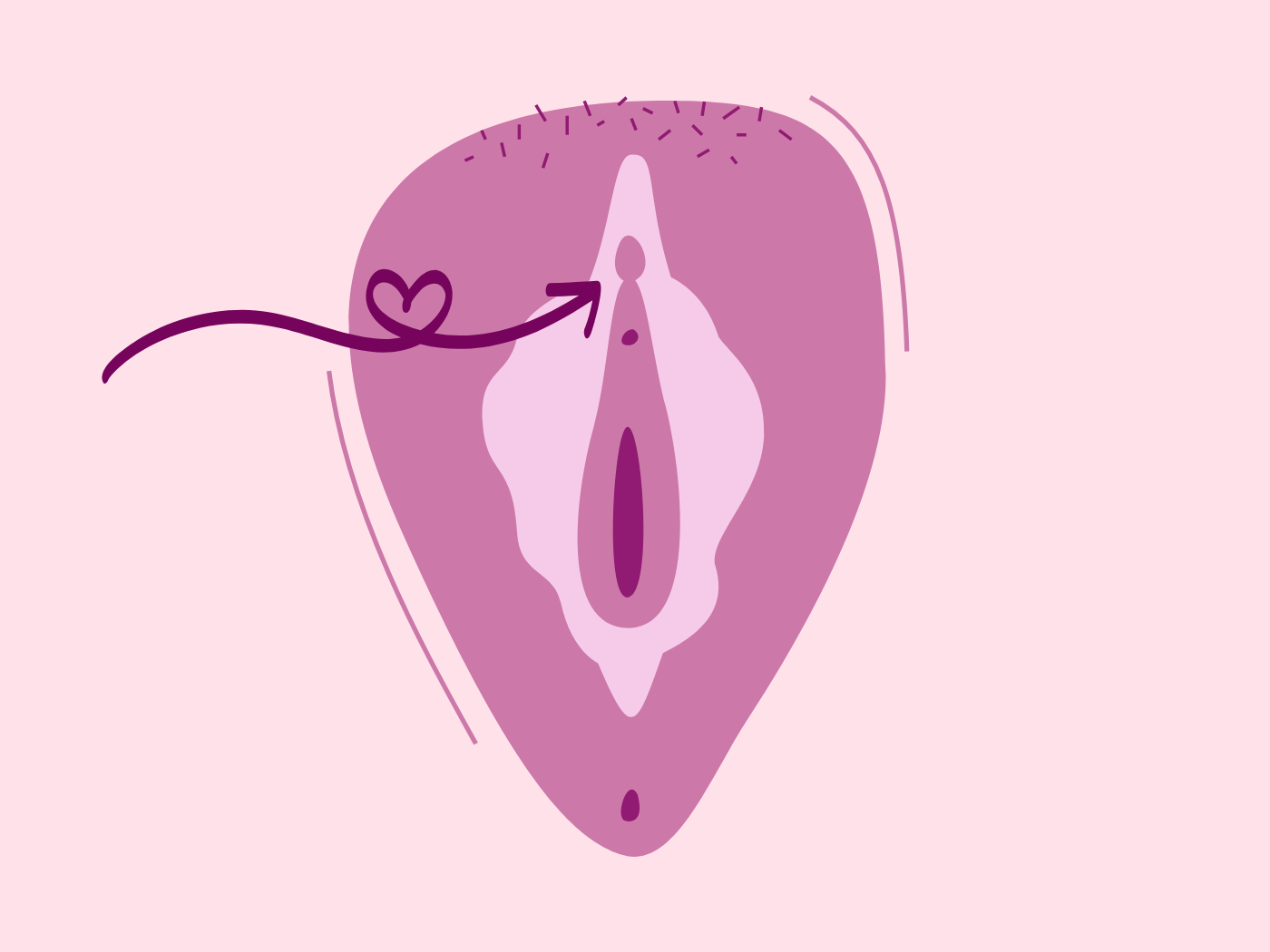 Warum-nicht-die-Vagina-sondern-die-Vulva-das-weibliche-Lustzentrum-darstell