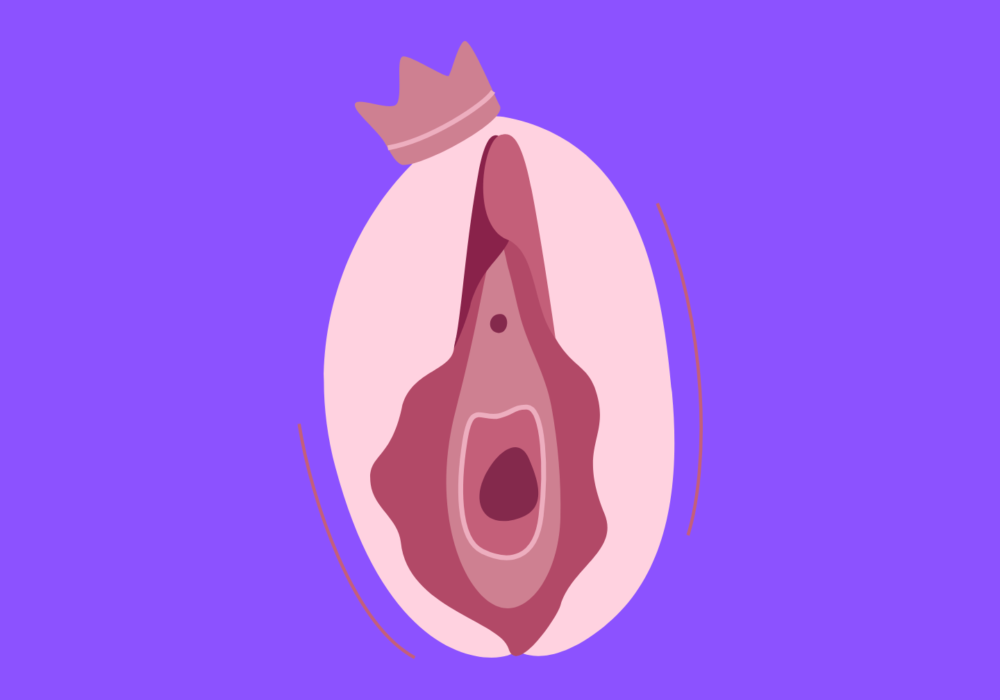 Illustration Vulva mit Jungfernhäutchen und einer Krone3