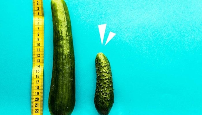 Alles, was Du über den Mikropenis wissen musst