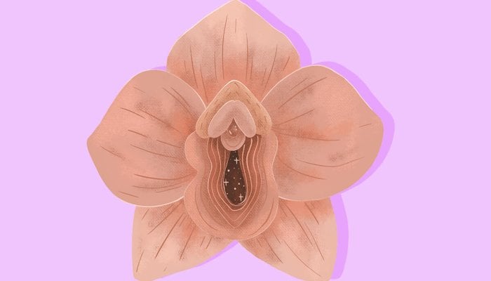 Der-Weibliche-A-Punkt