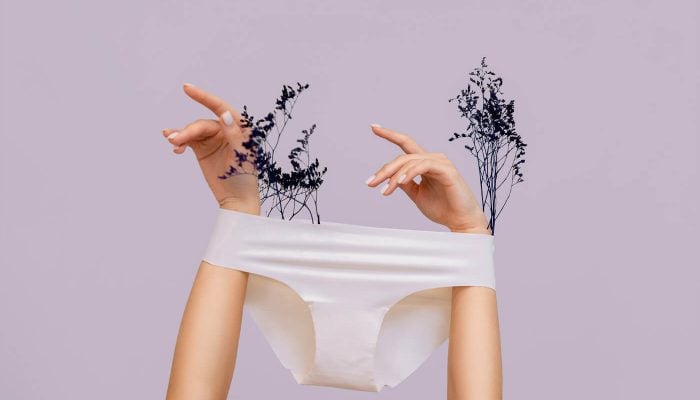 Intimbehaarung-der-Deutschen-Umfrage-von-Fraulila-1