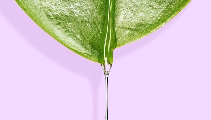 Schwanger-durch-Lusttropfen