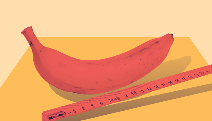 Studie-Penislaenge-Entwicklung-Grafik-Fraulila.png2_ Studie-Penislaenge-Entwicklung-Grafik-Fraulila.png2_