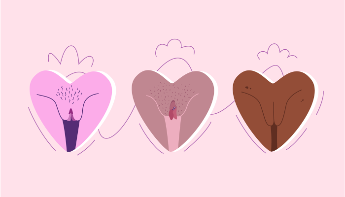 Verschiedene Vulvaformen Vaginaformen und warum sie normal sind