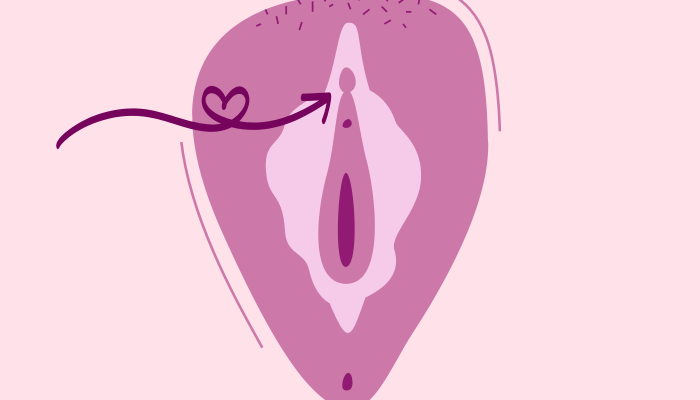 Warum-nicht-die-Vagina-sondern-die-Vulva-das-weibliche-Lustzentrum-darstell