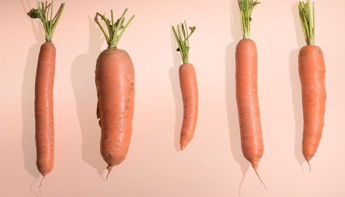 Wie-wichtig-ist-die-Penisgroesse-wirklich