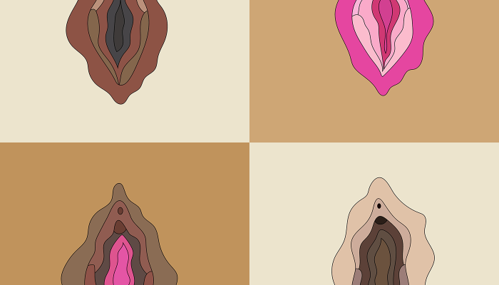 Woher-kommt-die-Scham-in-Schamlippen